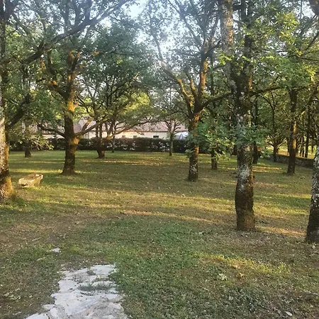 Hébergement de vacances La Maison Dans Les Bois *