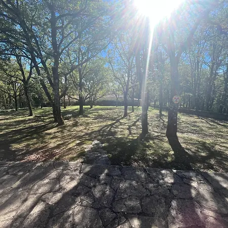 Hébergement de vacances La Maison Dans Les Bois Crayssac