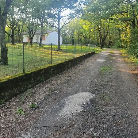 La Maison Dans Les Bois *