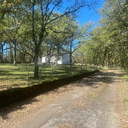 La Maison Dans Les Bois