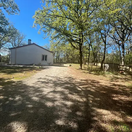 La Maison Dans Les Bois